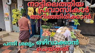 പ്രവാസികൾ ഇതെങ്കിലും അറിഞ്ഞിരിക്കണം kerala natural vegitable cultivation and harvesting [upl. by Odlonyer941]