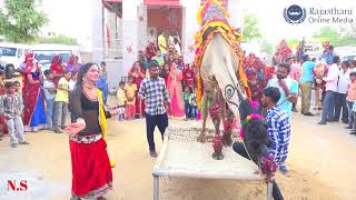 Rajasthani folk song Rajasthani Marriage dance 2018 Indian Wedding Dance performance 2018 [upl. by Yunfei267]