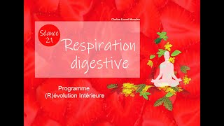 21  Respiration digestive  Programme méditation  Mode parasympathique  Sophrologie  Nerf vague [upl. by Mensch]