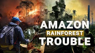 A Deadly Reality  The Shocking Impact of the Amazon Rainforest Shrinking [upl. by Lister]