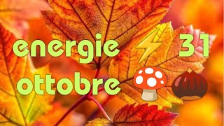 ENERGIE ⚡ 31 OTTOBRE 🍄🌰 [upl. by Nesahc]