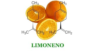 Extração de Limoneno de frutas cítricas Arraste de Vapor [upl. by Airotnes156]