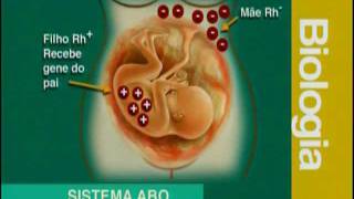 A 07  Sistema ABO e RH  Biologia  Vestibulando Digital [upl. by Yremrej]