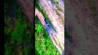 DRONE SHORTS VIDEO 📷📸 EDIT music [upl. by Ellenrad]