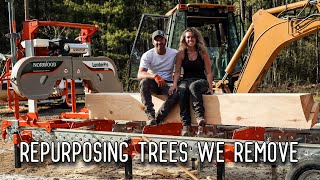 Milling Big Beautiful Timbers from Trees We Take Down  Norwood HD36 Portable Sawmill [upl. by Reteid]