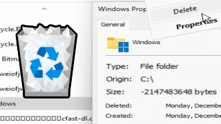 Deleting Windows 11 in Recycle Bin [upl. by Elletsyrc]