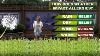 How does the weather impact allergies [upl. by Clapp85]