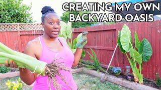 Creating My Own Outdoor Oasis DIY Backyard Garden Makeover Digging Up Giant Elephant Ear Plants [upl. by Neesay]