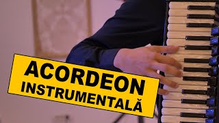 🍷🎹🎹🎹 ACORDEON MUZICA INSTRUMENTALA acordeon instrumentala lautareasca [upl. by Tanitansy]