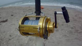 Shark Fishing Tips  How to Set the Drag [upl. by Kram901]