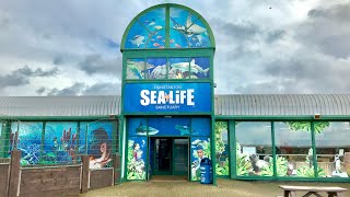 SEA LIFE Sanctuary Hunstanton Vlog 10th March 2019 [upl. by Gautier754]