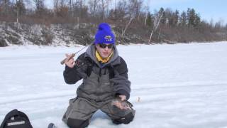 Catching Trout Through The Ice Slender Spoon  Shrimpo Dropper Rig [upl. by Enelyahs194]