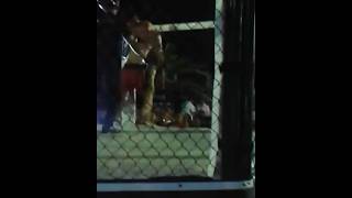 Ex MMA  14122014  Tarcísio Psycho X Ribeiro Neto quotGuilhotinaquot  Coronel Combate  Queda [upl. by Androw]