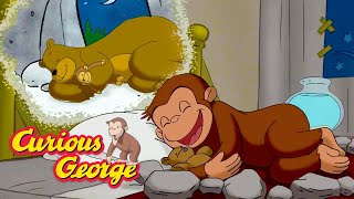 George Loves Cows 🐵 Curious George 🐵 Kids Cartoon 🐵 Kids Movies [upl. by Terzas]