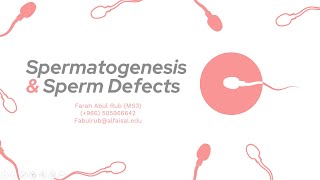 Hormonal Control of Spermatogenesis amp Sperm Defects  Farah Abul Rub  ERP 122 PAL review session [upl. by Atteniuq]