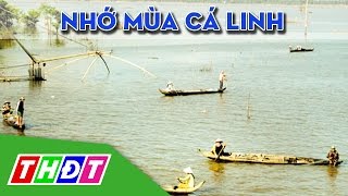 Ký ức miền quê Nhớ mùa cá linh  THDT [upl. by Dreher]