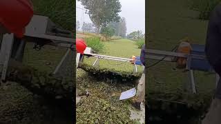 Fish pond duckweed feed collection process [upl. by Mauri491]