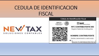 En 2025 Obten la CEDULA de IDENTIFICACIÓN FISCAL y la CONSTACIA DE SITUACIÓN FISCAL DESDE CASA😃 [upl. by Evey]