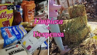 🧹🫧LIMPIEZA al gallinero🪣🧽DESPENSA EN BODEGA AURRERÁ🛍️💰 [upl. by Janaye]