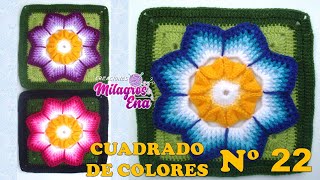 Como tejer el Cuadrado o muestra de colores N° 22 a crochet para colchas y cojines paso a paso [upl. by Vanni]