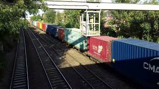 Trains  Hexthorpe Park  16 09 2024 [upl. by Sitof221]