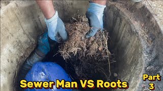 Drain Complaint 292  The war against the roots begins ☠️🥵 [upl. by Hayikaz220]