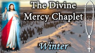 Divine Mercy Chaplet in Winter Virtual [upl. by Airyk489]