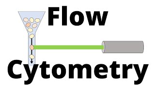 FLOW CYTOMETRY in 1 minute [upl. by Crellen]