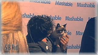 Ian Somerhalder and The Grumpy Cat ► Official [upl. by Berners619]