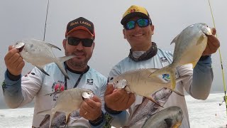 PESCA DE PRAIA Restinga de Maricá Saiu muito peixe [upl. by Yeldar96]