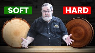 Hardwood vs Softwood What’s the Difference [upl. by Adiell921]