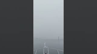 🌫️ It is a Foggy View 🌁 Cannot Even See the Historic Swing Bridge over the Beaufort River 🌉 [upl. by Ytirev621]