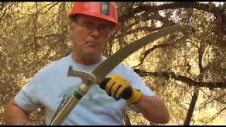 Pruning Techniques Using the Flexure of the Pole Saw  Prune Like a Pro [upl. by Katushka]