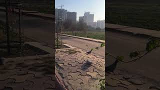 Gurgaon city  Haryana [upl. by Analiese]