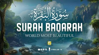 Surah Al Baqarah Full سورة البقره  Relaxing Calming amp Heart Touching Quran  Zikrullah TV [upl. by Seto]