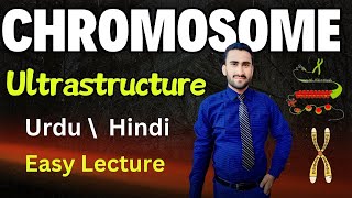 Ultrastructure of Chromosomes  Nucleosome  Histone Proteins  Shahzad Rasool Urdu lecture [upl. by Ammann]