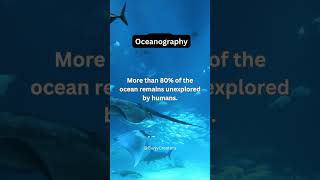 Science Fact  Oceanography  Science 13  shorts science facts oceanography viral [upl. by Elatnahc]