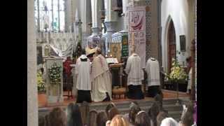 Enniscorthy Procession St Aidans Cathedral 05062013 [upl. by Fries978]