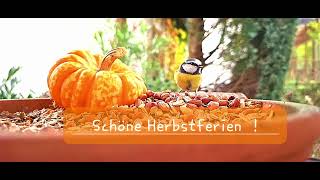 Schöne Herbstferien [upl. by Ainwat6]