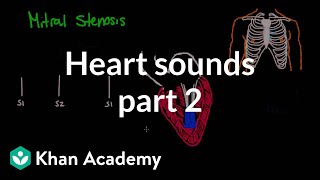 Systolic murmurs diastolic murmurs and extra heart sounds  Part 2  NCLEXRN  Khan Academy [upl. by Nnagem]