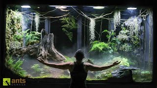 I Built a Giant Cloud Rainforest Vivarium [upl. by Kenyon]