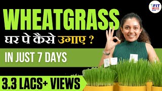 How to Grow Wheatgrass in 7 Days  Detox Your Body  A Complete Guide by Shivangi Desai [upl. by Alaunnoif]