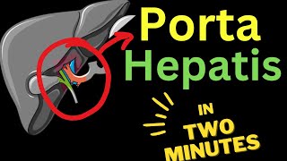 Porta Hepatis  IN TWO MINUTES [upl. by Chiaki]