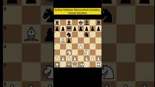 Sicilian Defense Nimzowitsch Variation Closed Variation B29 [upl. by Kronfeld]