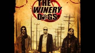 The Winery Dogs  Im No Angel [upl. by Nibaj]