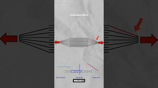 Books interlock science sciencefacts [upl. by Apfel360]