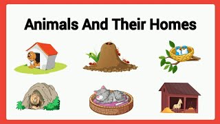 Animals and their home for kidsanimals sheltersanimals homeukgkindergartenclass 1 [upl. by Keeryt]