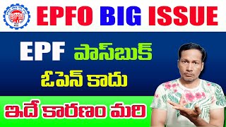 EPF Passbook Issue 2023  EPF Passbook Latest Update 2023 [upl. by Photina]