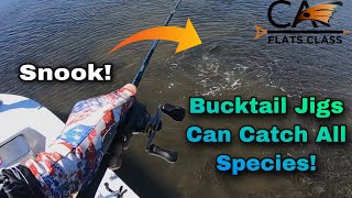 Bucktail Jigs Can Catch All Species  Flats Class [upl. by Anica]