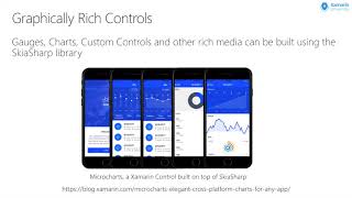 Creating Custom Controls with Xamarin Forms  Glenn Stephens  Xamarin University Lightning Lecture [upl. by Peugia842]